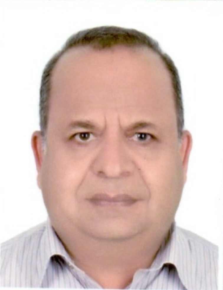 محمد انصاری